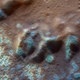 Illustration for article titled What created these mysterious hollows on the surface of Mercury?